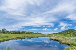 鬼怒沼湿原