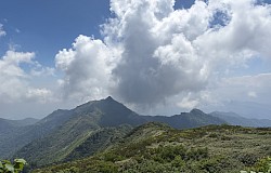 作業した尾根