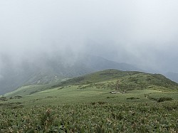平標山頂から