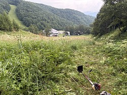 草刈り
