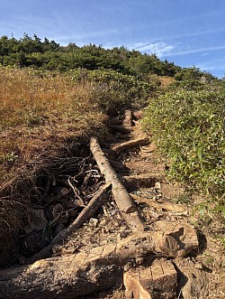 登山道の事1